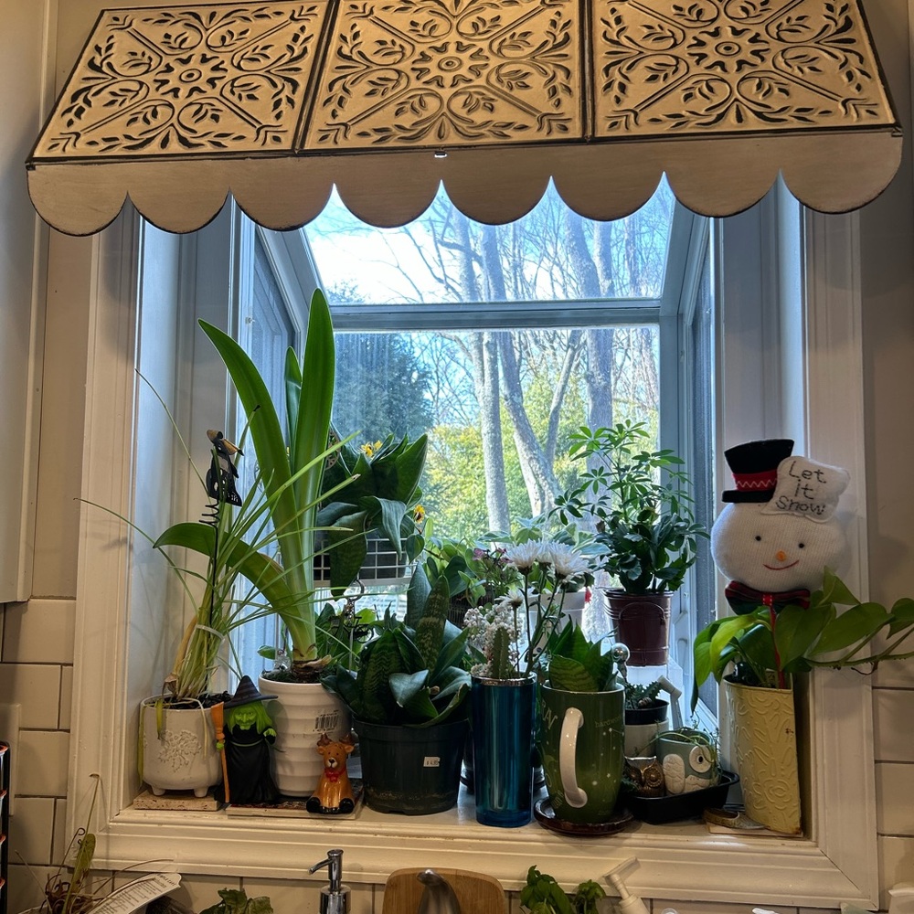 Indoor Window Decor
